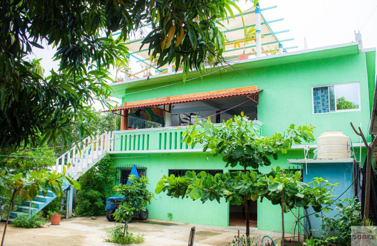 Casa Sobek 호텔 푸에르토 에스콘디도 외부 사진